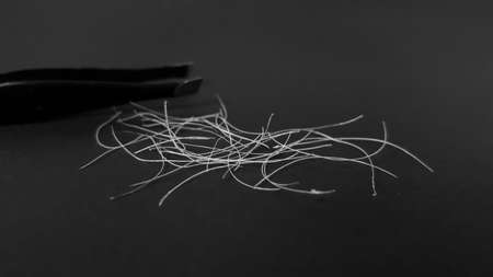 Gray beard and tweezers on a black background.の写真素材