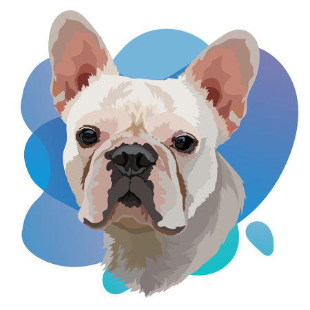 White French Bulldog head vector image. Portrait on a blue gradient backgroundのイラスト素材