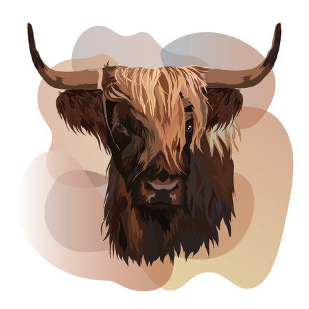 Bull vector illustration, symbol of the new year 2021, animal portrait.のイラスト素材