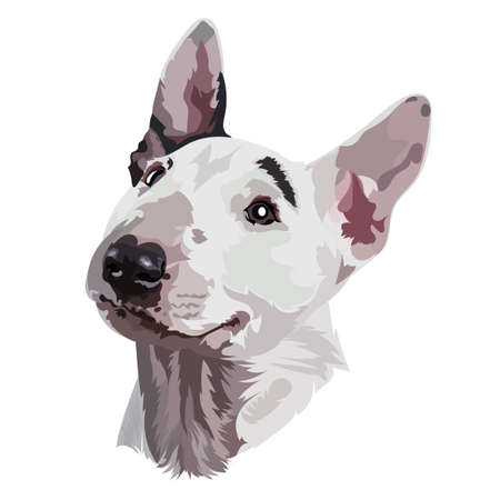 Portrait bull terrier vector illustrationのイラスト素材