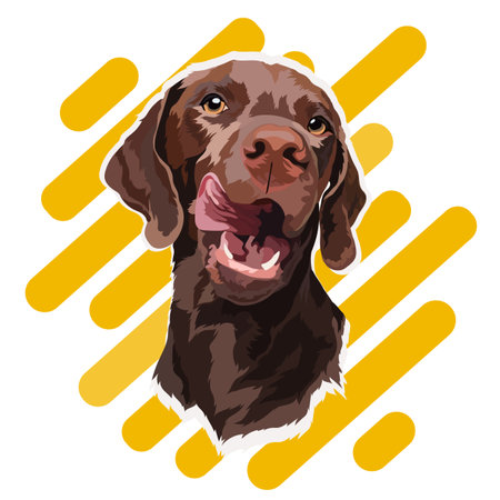 Chocolate Labrador puppy on a colored background. portrait. vector illustrationのイラスト素材