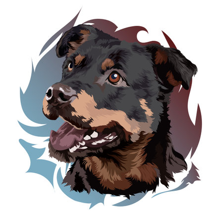Head of a Rottweiler dog. vector illustration. Portrait on a colored backgroundのイラスト素材