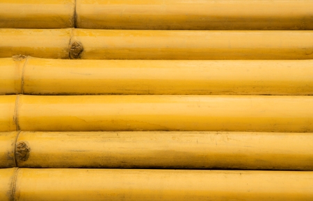 Bamboo background.の写真素材