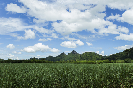 Mountainous sky, clouds and beautiful green trees.の写真素材