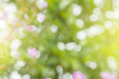 Background pattern, blurred, natural colors.の写真素材