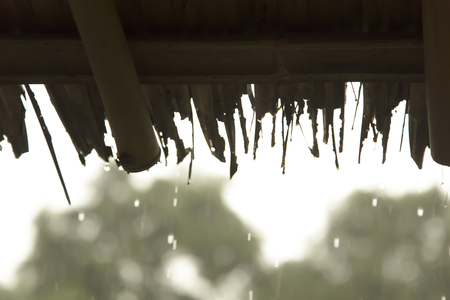 Rainy background flows down from the roof of the grass.の写真素材