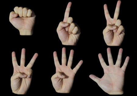 Hands in number 1 to 5の写真素材