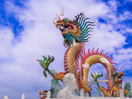 dragonの写真素材