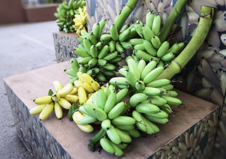 Bunch of bananas in the exhibition of agricultural farmers annualの写真素材