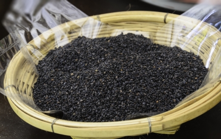 Sesame in the exhibition of agricultural farmers annualの写真素材