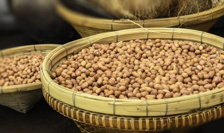 Peanut in the exhibition of agricultural farmers annualの写真素材