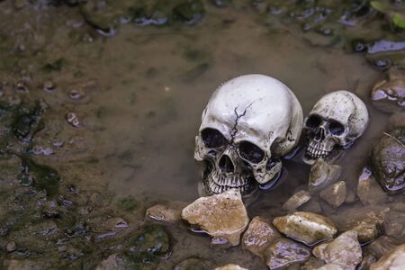 The skull or skeleton of human photographyの写真素材