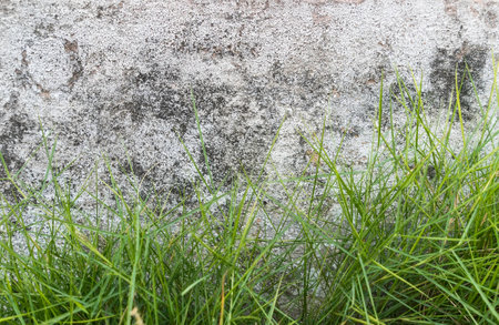 wall background photographyの写真素材