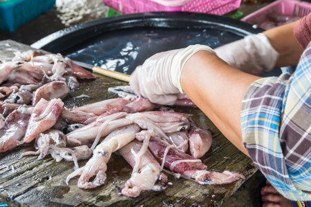 Dried squid occupation of fishermanの写真素材