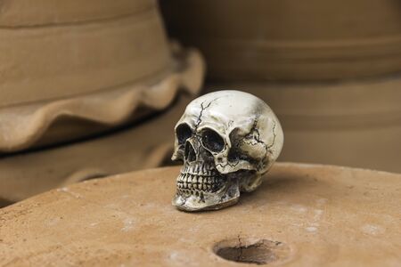 skull or skeleton of human photographyの写真素材