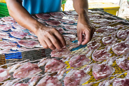 Dried squid occupation of fishermanの写真素材