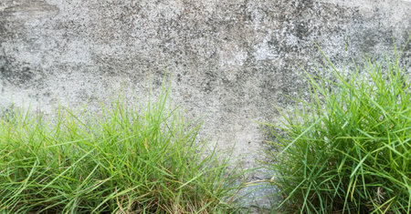 wall background photographyの写真素材