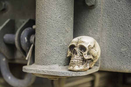 skull or skeleton of human photographyの写真素材