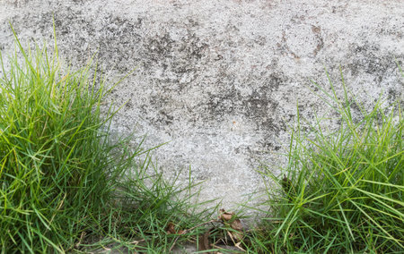 wall background photographyの写真素材