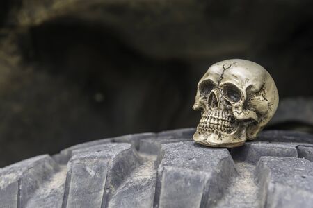 skull or skeleton of human photographyの写真素材