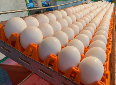 Duck eggs on the shelves in storesの写真素材