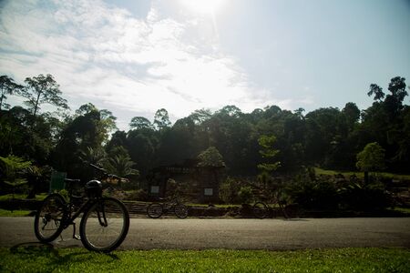 relaxing day with bicycle