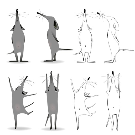 Cartoon Mouse Character Mascot. A vector clipart af a cartoon mouse character in four different poses. Sketch lines  and colored variants.のイラスト素材