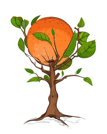 Orange Tree のイラスト素材