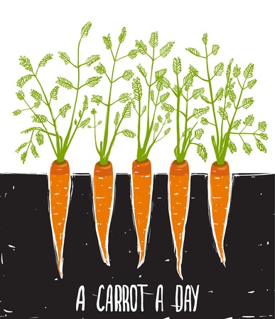 Growing Carrots Scratchy Drawing and Lettering  Bed of carrots scribble illustration のイラスト素材