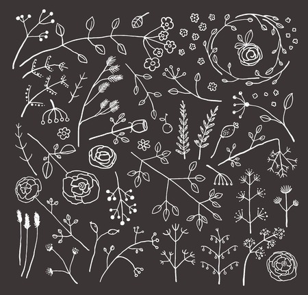 Field Flowers and Plants Decoration Collection on Blackのイラスト素材