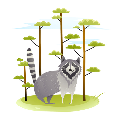 Cute lovely raccoon on the lawn. White background vector illustrationのイラスト素材