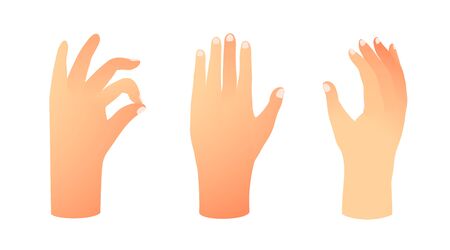 Hands collection isolated on white, palms and fingers raised up, clip art gradient realistic objects.のイラスト素材