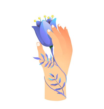 Female hand holding gorgeous blue flower symbol of purity beauty and youth. Vector graphic illustration hand drawn.のイラスト素材