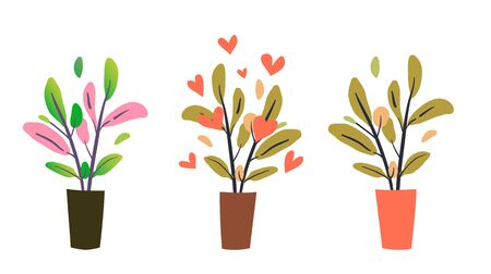 Flowerpots with green and colored leaves set. Potted houseplants, set of indoor flowers. Graphic hand drawn vector cartoon illustration.のイラスト素材