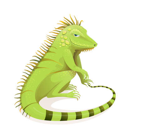 Realistic hand drawn Iguana vector cartoon. Green exotic jungle and rainforest reptile zoology illustration. Isolated animal and vertebrate clipart.のイラスト素材