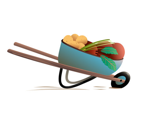 Wheelbarrow loaded with fresh organic vegetable produce. Horticulture and gardening cartoon, barrow or cart with potato and beetroot. Hand drawn vector clipart illustration in watercolor style.のイラスト素材