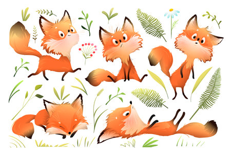 Fox mascot character poses for kids illustration book. Playful fox animation, forest animal in action for a fairytale story. Vector hand drawn character design for children in watercolor style.のイラスト素材