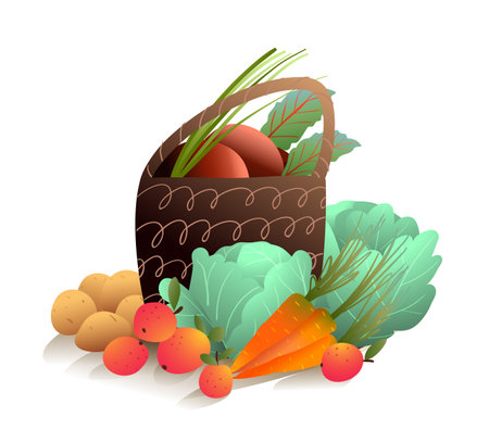 Autumn harvest basket of healthy vegetables with cabbage carrot apple beetroot and potato. Farming Hand-drawn vector cartoon, artistic seasonal illustration of fresh produce in watercolor style.のイラスト素材