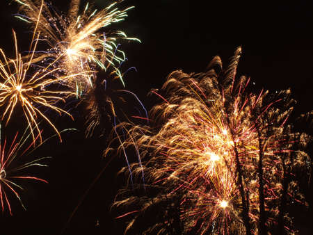 New Years Day Celebration for a happy 2012の写真素材