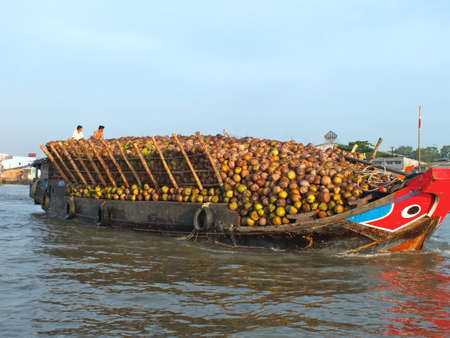 Coconut Expressのeditorial素材