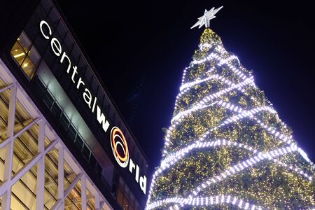 huge christmas tree at night with sky backgroundの写真素材