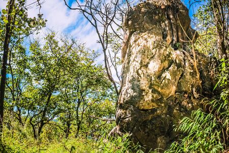 big rock in the forest with blue skyの写真素材