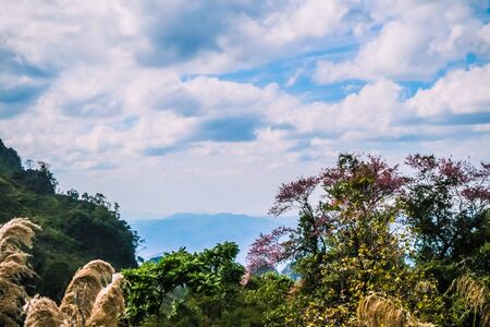 big mountain with clear blue skyの写真素材