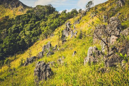 mountain hill with rocks  grasses and  clear blue sky backgroundの写真素材