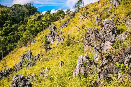 mountain hill with rocks  grasses and  clear blue sky backgroundの写真素材