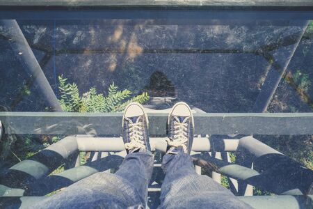man feet in the glass floor with nature tree underの写真素材
