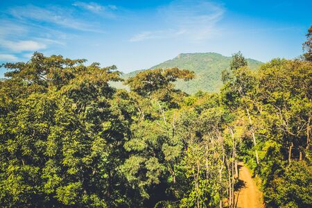 nature forest with mountain and blue sky backgroundの写真素材