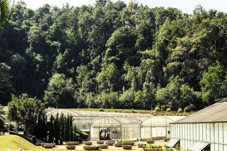 Greenhouse with nature forestの写真素材