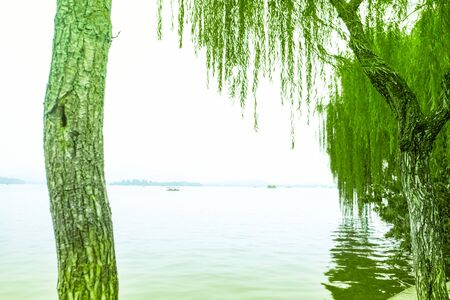 grand lake with white sky background and treesの写真素材