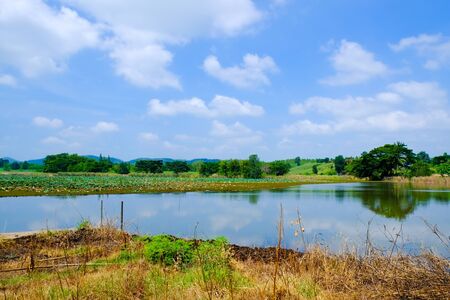 big lake with green field and blue skyの写真素材